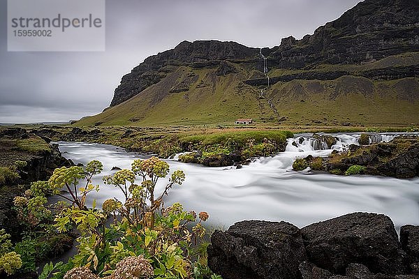 Engelwurz  Langzeitbelichtung Fluss Fossálar  bei Kirkjubæjarklaustur  Island  Europa