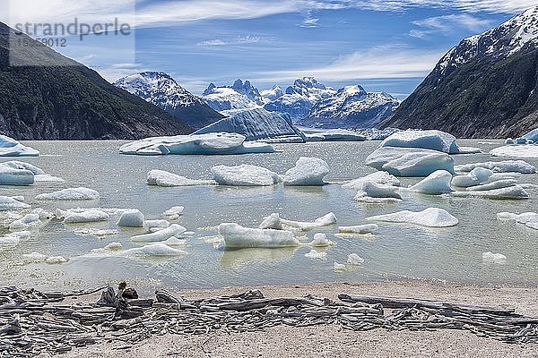 Gletschersee mit kleinen schwimmenden Eisbergen  Nationalpark Laguna San Rafael  Region Aysen  Patagonien  Chile  Südamerika