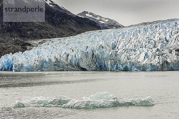 Der Grey-Gletscher fließt in den See Lago Grey  Nationalpark Torres del Paine  Patagonien  Región de Magallanes y de la Antártica Chilena  Chile  Südamerika