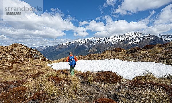 Wanderer auf dem Berggipfel des Mount Alfred  Ausblick auf Berggipfel  Glenorchy bei Queenstown  Südliche Alpen  Otago  Südinsel  Neuseeland  Ozeanien