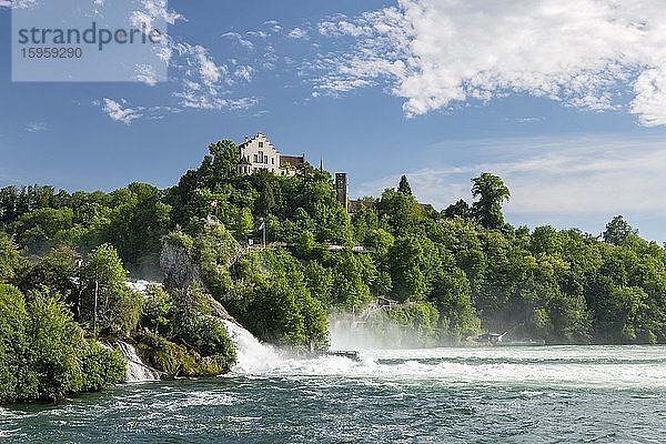 Rheinfall mit Schloss Laufen  bei Schaffhausen  Kanton Schaffhausen  Schweiz  Europa
