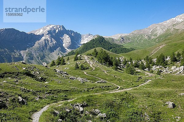 Alpenlandschaft mit Wanderweg am Col de Vars  Provence-Alpes-Cote d?Azur  Hautes-Alpes  Alpes-de-Haute-Provence  Frankreich  Europa