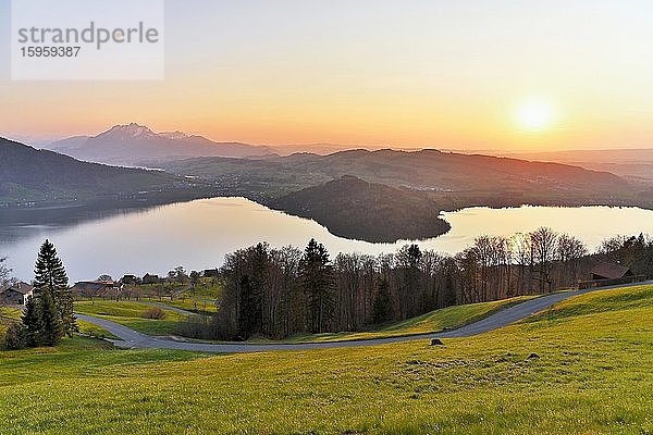 Abendstimmung am Zugersee mit Kiemen der engsten Stelle vom See  hinten Pilatus  Walchwil  Kanton Zug  Schweiz  Europa