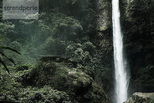 Die Yumbilla-Fälle in der Nähe der Stadt Cuispes in der nördlichen peruanischen Amazonasregion  der fünfthöchste Wasserfall der Welt.