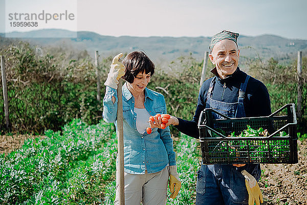 Lächelnde Frau und Mann stehen im Gemüsegarten und halten Plastik mit frisch gepflücktem Gemüse