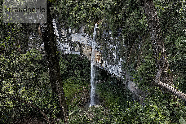 Yumbilla Falls in der Nähe der Stadt Cuispes in der nördlichen peruanischen Amazonasregion  der fünfthöchste Wasserfall der Welt.