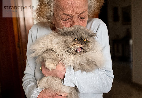 Ältere Frau umarmt graue Perserkatze  die sich während der Corona-Virus-Krise in ihrem Haus selbst isoliert.