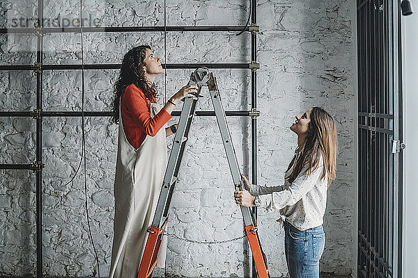 Zwei mittelgroße erwachsene Frauen auf Trittleitern  die in ihrem neuen Geschäft nach oben schauen
