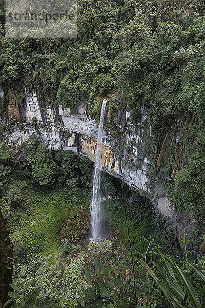 Die Yumbilla-Fälle in der Nähe der Stadt Cuispes in der nördlichen peruanischen Amazonasregion  der fünfthöchste Wasserfall der Welt.