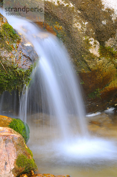 Wasserfall im Wald  Steiermark  Österreich