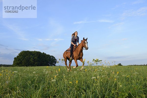 Teenagerin reitet auf einem Pferd