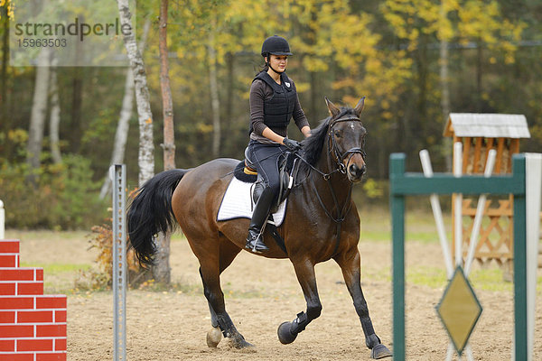 Junge Frau auf einem Pferd reitet einen Parcours