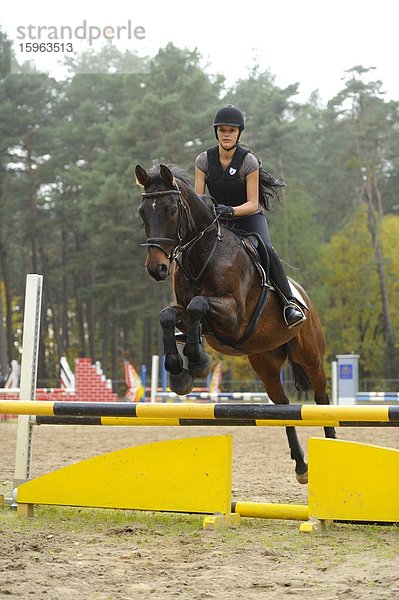 Junge Frau auf einem Pferd reitet einen Parcours