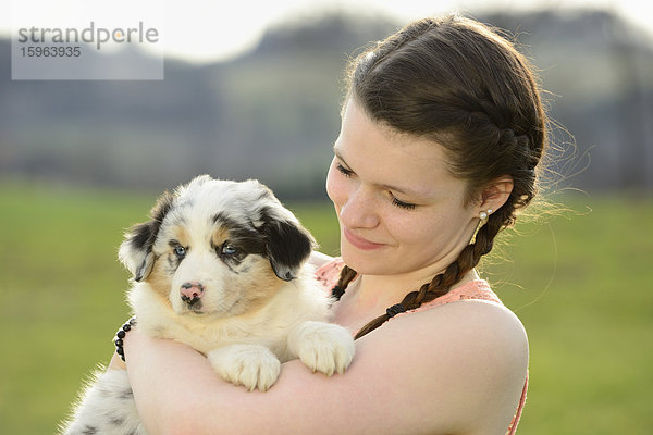 Junge Frau mit Australian Sheperd Welpen  Bayern  Deutschland  Europa