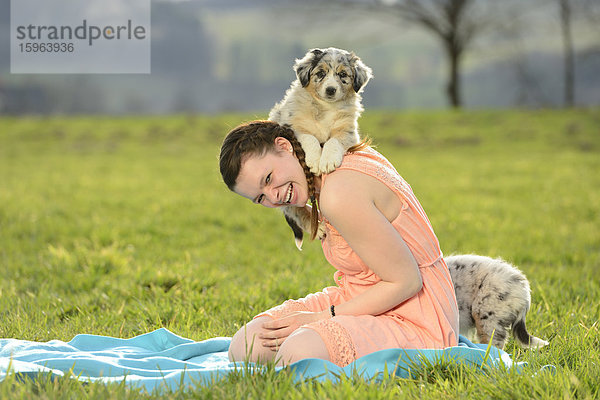 Junge Frau mit Australian Sheperd Welpen  Bayern  Deutschland  Europa