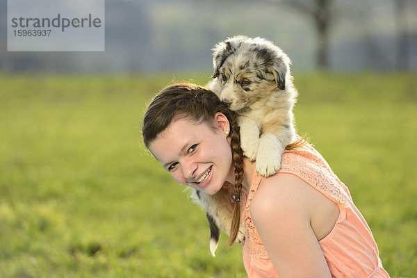 Junge Frau mit Australian Sheperd Welpen  Bayern  Deutschland  Europa