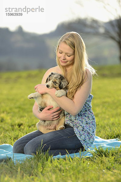 Junge Frau mit Australian Sheperd Welpen  Bayern  Deutschland  Europa