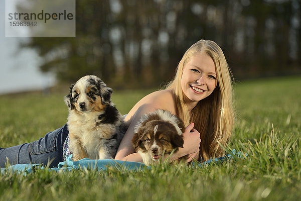 Junge Frau mit Australian Sheperd Welpen  Bayern  Deutschland  Europa