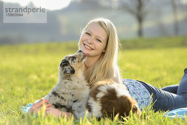 Junge Frau mit Australian Sheperd Welpen  Bayern  Deutschland  Europa