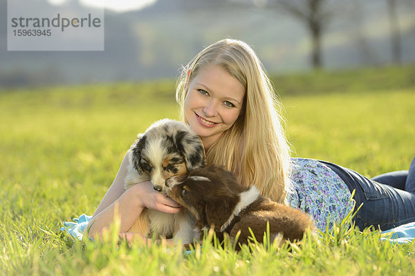 Junge Frau mit Australian Sheperd Welpen  Bayern  Deutschland  Europa