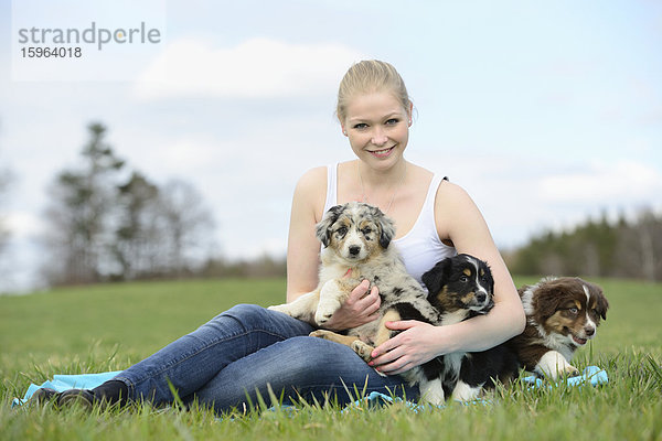 Junge Frau mit Australian Sheperd Welpen  Bayern  Deutschland  Europa