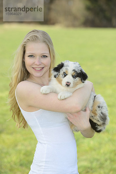 Junge Frau mit Australian Sheperd Welpen  Bayern  Deutschland  Europa