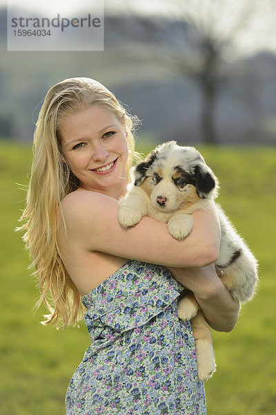 Junge Frau mit Australian Sheperd Welpen  Bayern  Deutschland  Europa