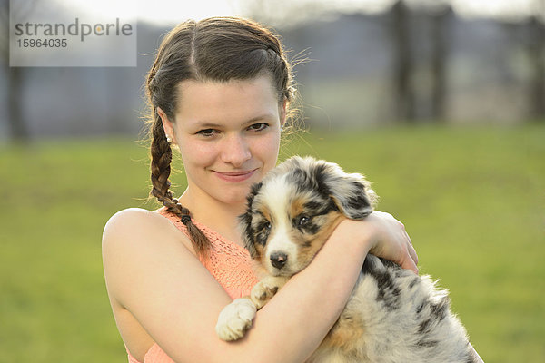 Junge Frau mit Australian Sheperd Welpen  Bayern  Deutschland  Europa