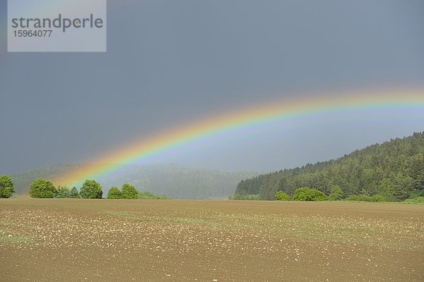 Landschaft mit Regenbogen in der Oberpfalz  Bayern  Deutschland