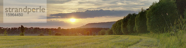 Sonnenuntergang im Frühling  Oberpfalz  Bayern  Deutschland