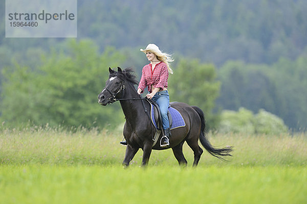 Junge Frau steht reitet auf einem Pferd auf einer Wiese