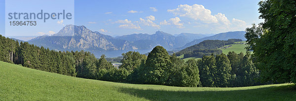 Landschaft bei Traunsee mit Bergen  Oberösterreich  Österreich