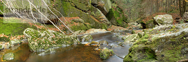 Gewässer im Herbst im Bayerischen Wald  Steinklamm  Spiegelau  Bayern  Deutschland