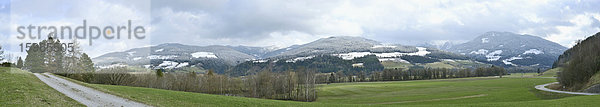 Panoramaaufnahme von Feldern  Wald und Hügel  Steiermark  Österreich