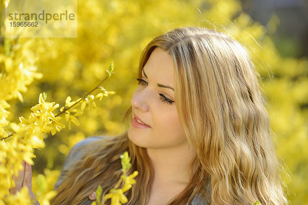 Junge Frau an blühender Forsythie  Portrait