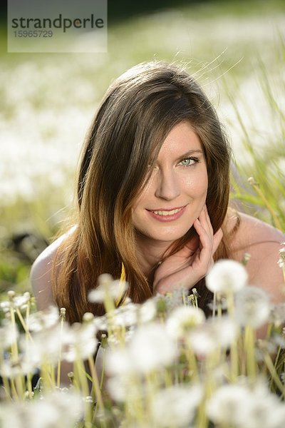 Junge Frau in einer Blumenwiese  Bayern  Deutschland  Europa