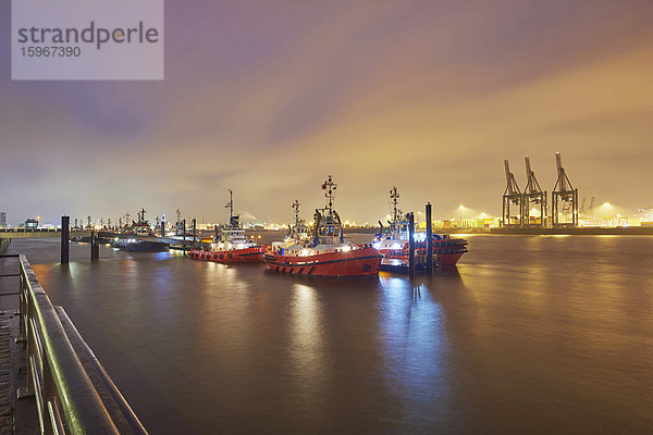 Hamburger Hafen  Hamburg  Deutschland  Europa