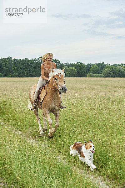 Junge Frau mit Pferd und Hund  Bayern  Deutschland  Europa