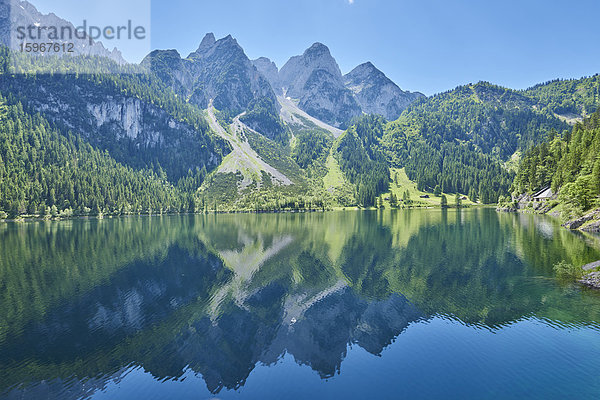 Gosausee und Alpen  Österreich  Europa