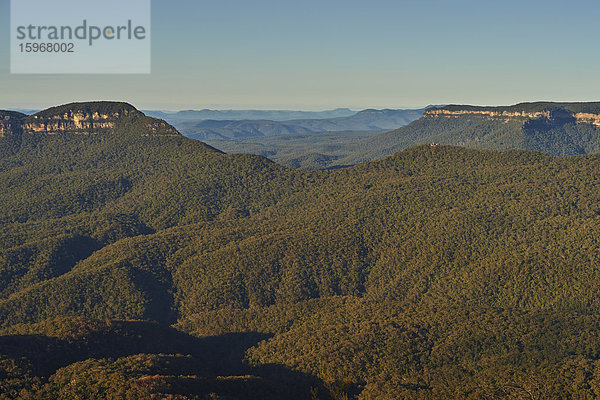 Jamison Valley  Blue Mountains  Blue Mountains-Nationalpark  Neusüdwales  Australien