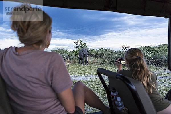 Zwei Personen in einem Safari-Jeep  eine Frau und ein Mädchen im Teenager-Alter  die mit einer Videokamera Aufnahmen von einem reifen Elefanten machen