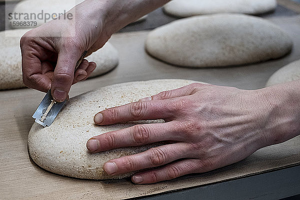 Handwerkliche Bäckerei  die spezielles Sauerteigbrot herstellt  ein Bäcker  der mit einer Klinge in den Gärteig schneidet.