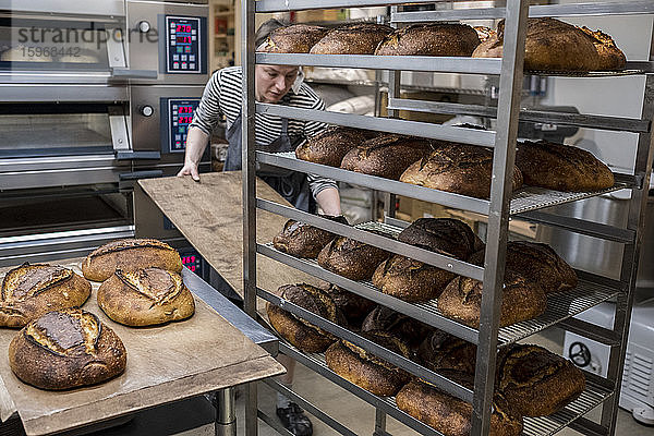 Handwerkliche Bäckerei  die spezielles Sauerteigbrot herstellt  Gestelle aus gebackenem Brot mit dunkler Kruste.