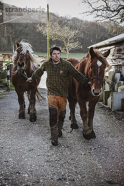 Porträt eines Holzfällers mit zwei seiner Arbeitspferde.