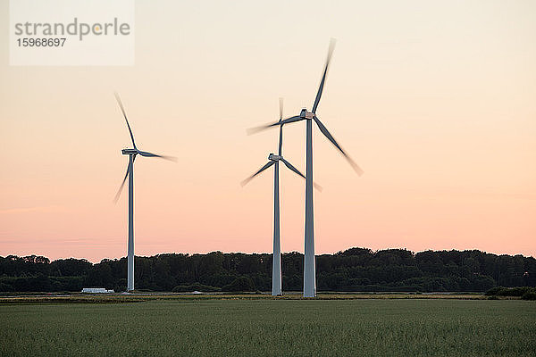 Windmühlen in Bewegung auf Grasfeld gegen klaren Himmel bei Sonnenuntergang