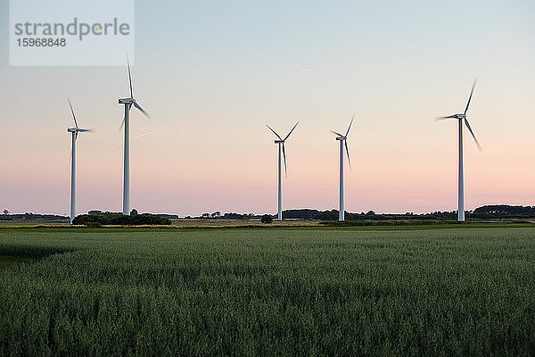 Windmühlen auf Grasfeld gegen klaren Himmel bei Sonnenuntergang
