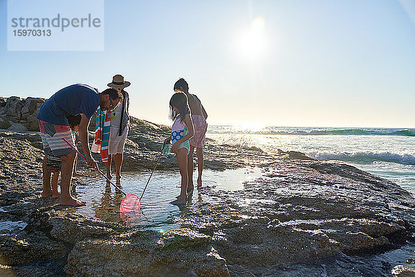 Familie spielt im Gezeitenbecken am sonnigen Meeresstrand