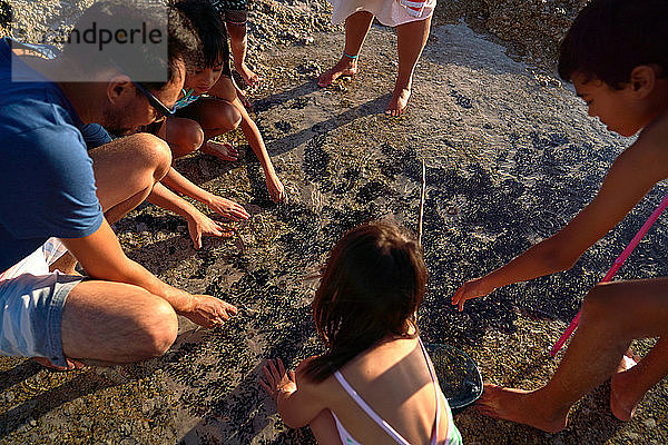 Familie spielt im Meeresgezeiten-Pool am Strand