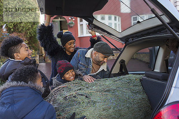 Familie lädt Weihnachtsbaum ins Auto