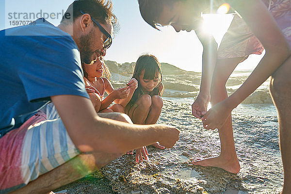 Familie erkundet Gezeitenbecken am sonnigen Strand